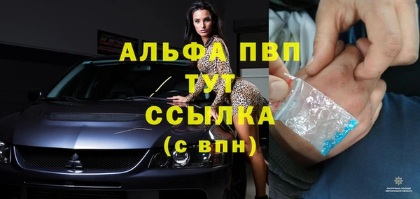 гашик Арсеньев