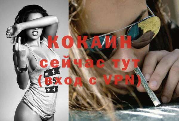 гашик Арсеньев