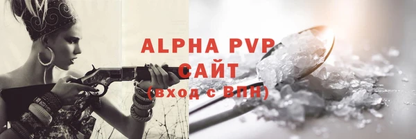 гашик Арсеньев