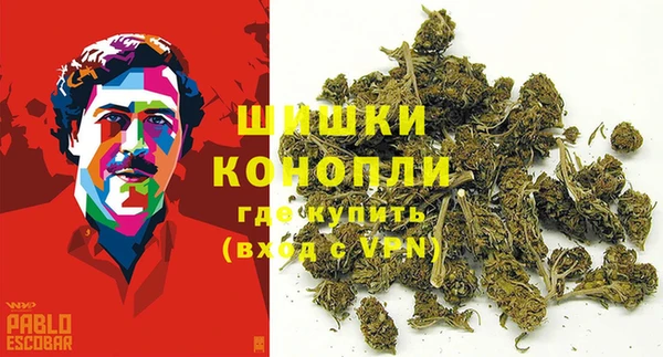 гидра Снежинск