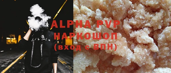 гашик Арсеньев
