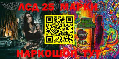 метадон Сланцы
