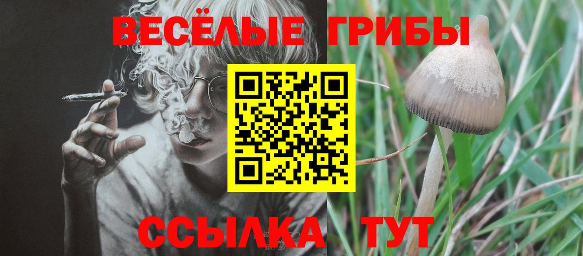 Псилоцибиновые грибы Magic Shrooms Темрюк